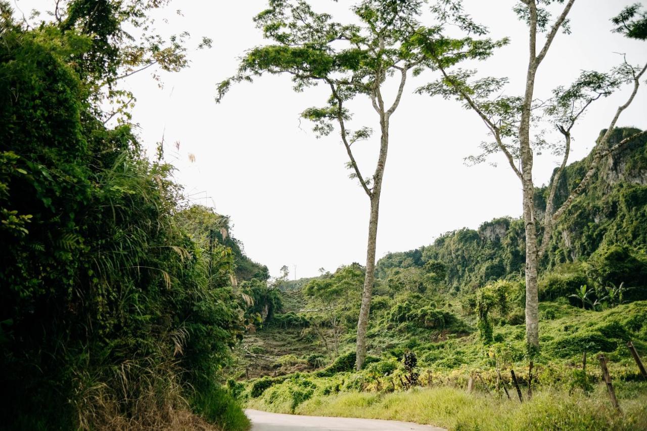 150 Peakway Mountain Resort Dalaguete Kültér fotó